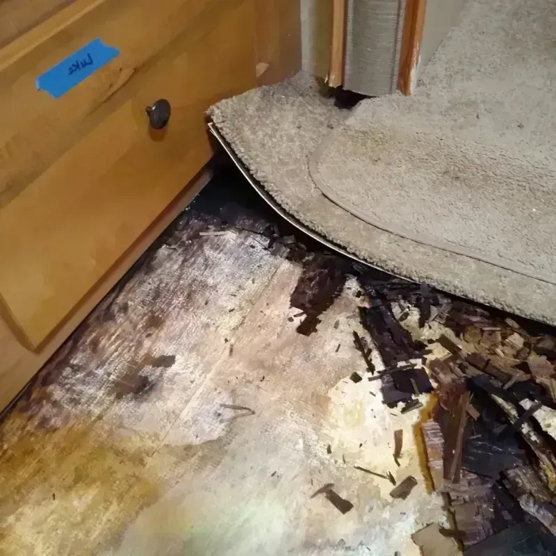 Best Wood Floor Water Damage Service in Granite, OK